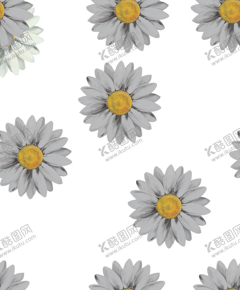 编号：64828209120138507658【酷图网】源文件下载-菊花