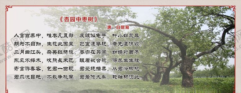 编号：29055807090027098367【酷图网】源文件下载-杏园中枣树