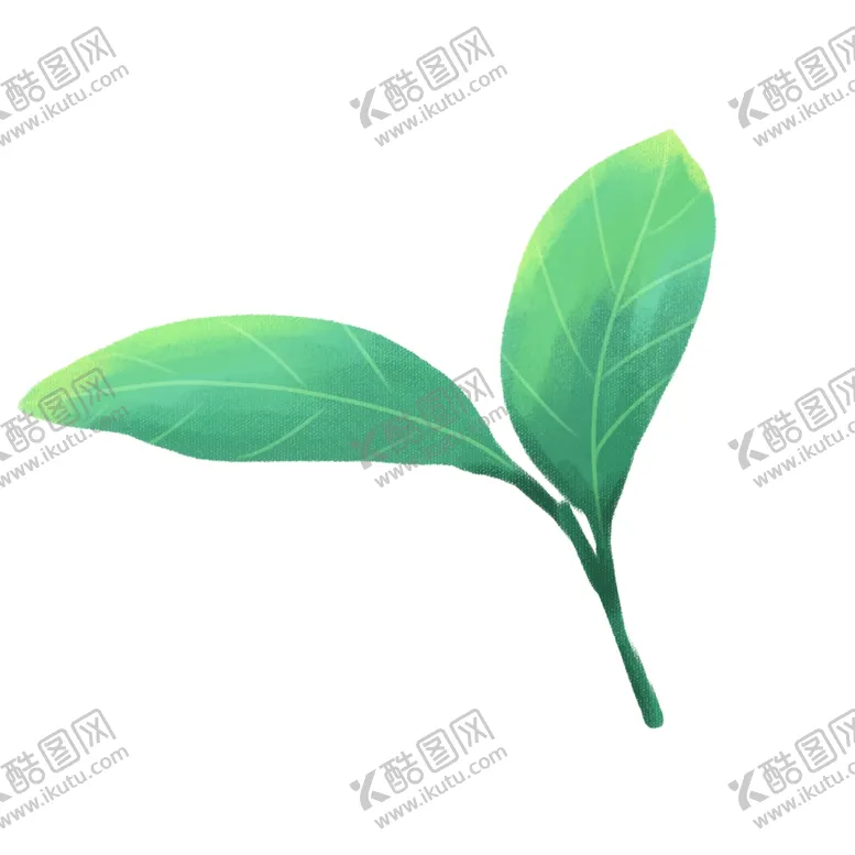 编号：31811306251157121226【酷图网】源文件下载-叶子