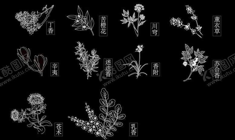 编号：24830903221743358637【酷图网】源文件下载-植物线稿