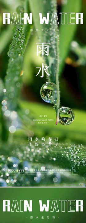 地产雨水节气海报房露珠二十四系列