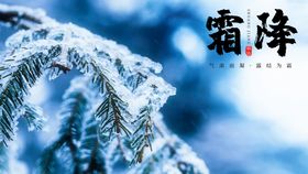 霜降节气宣传广告中国传统节气节气广告