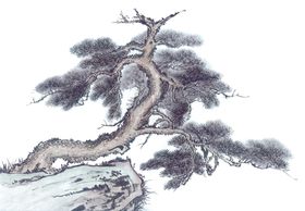 水墨中国风迎客松画山旭日东升画