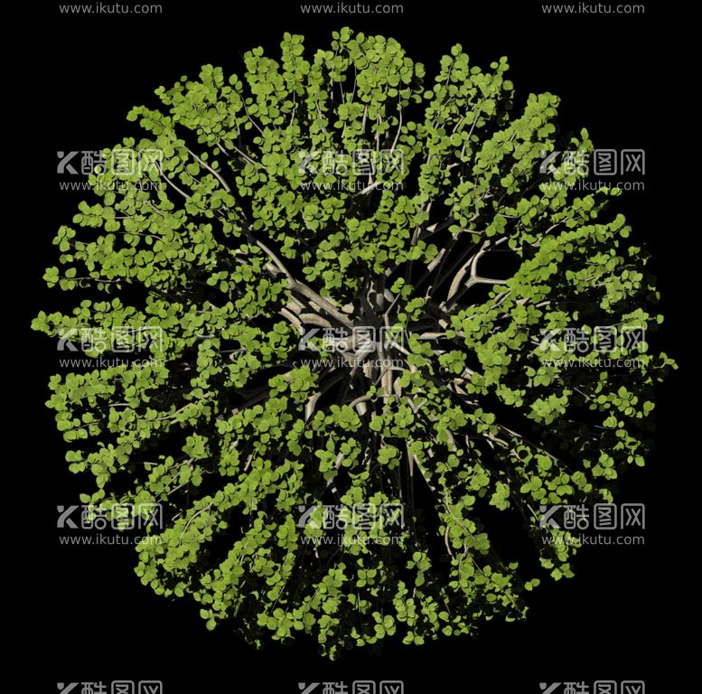 编号：27845601271130422735【酷图网】源文件下载-树贴图