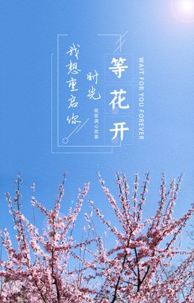 樱花海报清新简约蓝天