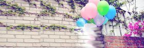 宠物训犬师轮播banner