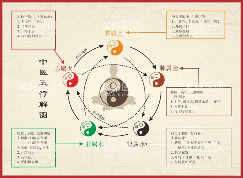 编号：15774812151244077008【酷图网】源文件下载-中医五行图