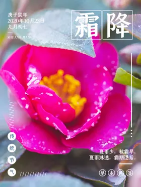 霜降朋友圈叶子冰