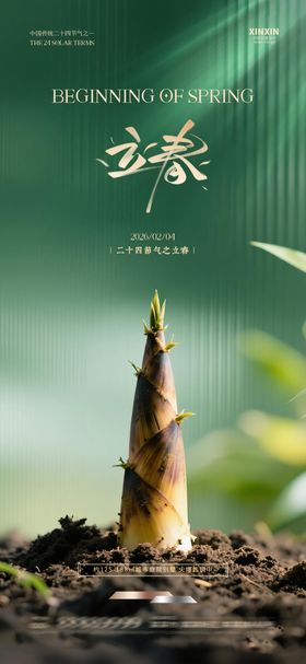 立春雨水节气简约质感海报
