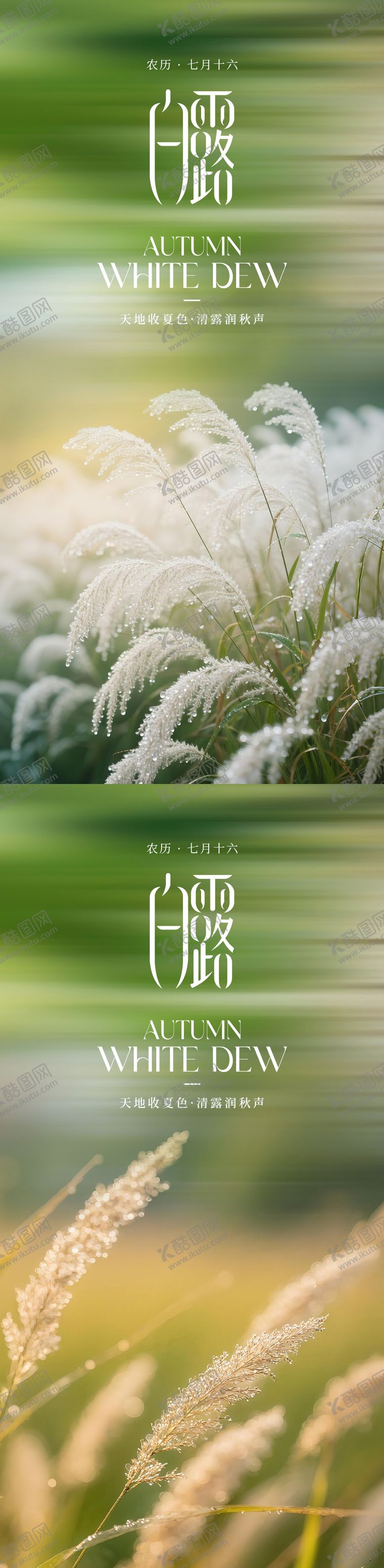 编号：30439108291448036686【酷图网】源文件下载-白露节气系列海报