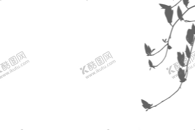 编号：57004702131101126573【酷图网】源文件下载-植物光影