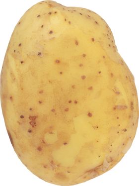 土豆