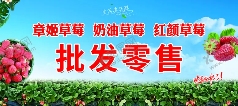 编号：50972609291128182935【酷图网】源文件下载-奶油草莓海报