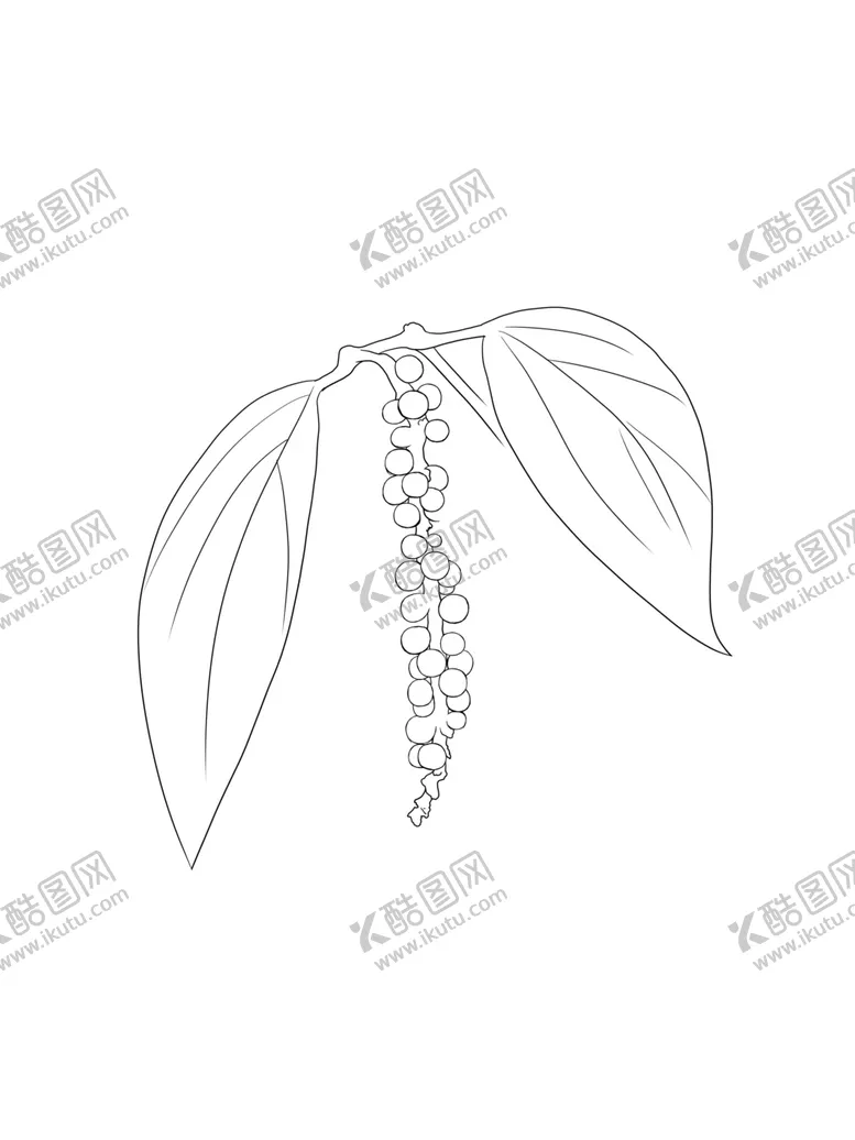 编号：99992403161533273837【酷图网】源文件下载-胡椒