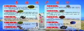 青海特产