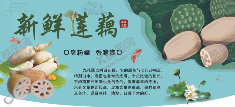 编号：81651509251237571329【酷图网】源文件下载-莲藕