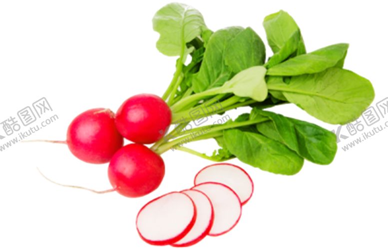 编号：75610709222222223285【酷图网】源文件下载-萝卜