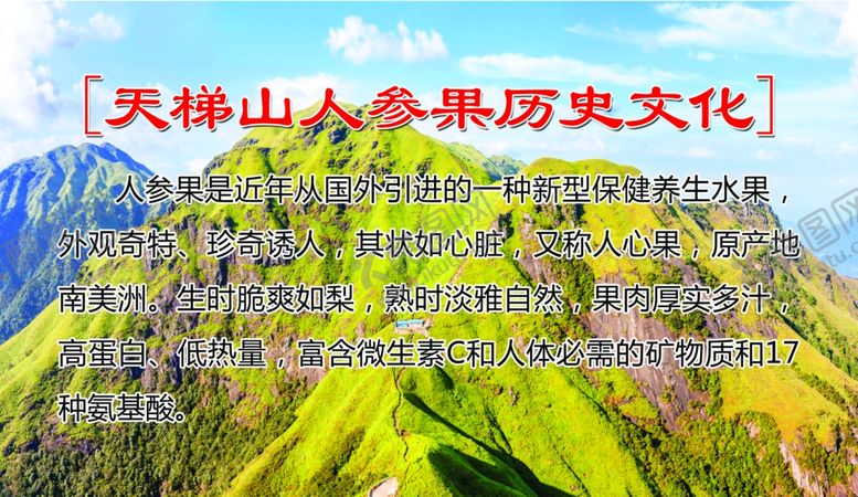 编号：17189406162340562750【酷图网】源文件下载-人参果历史文化