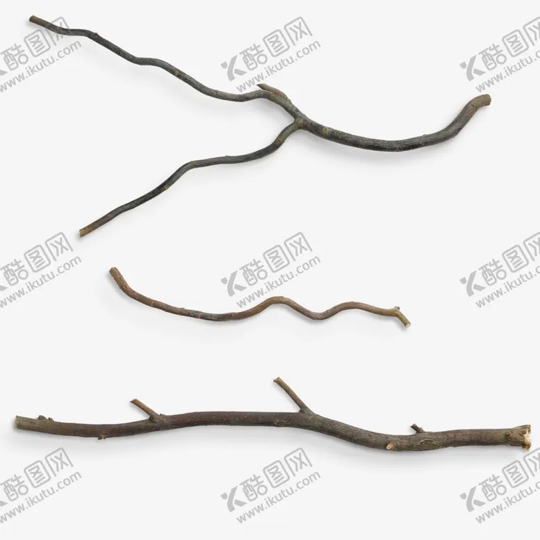 编号：56670001250713581310【酷图网】源文件下载-树枝png
