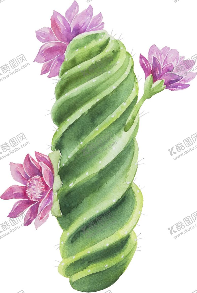 编号：37162009172205101847【酷图网】源文件下载- 仙人掌