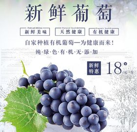 生鲜水果活动促销优惠淘宝主图