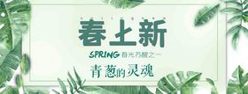 春季上新banner