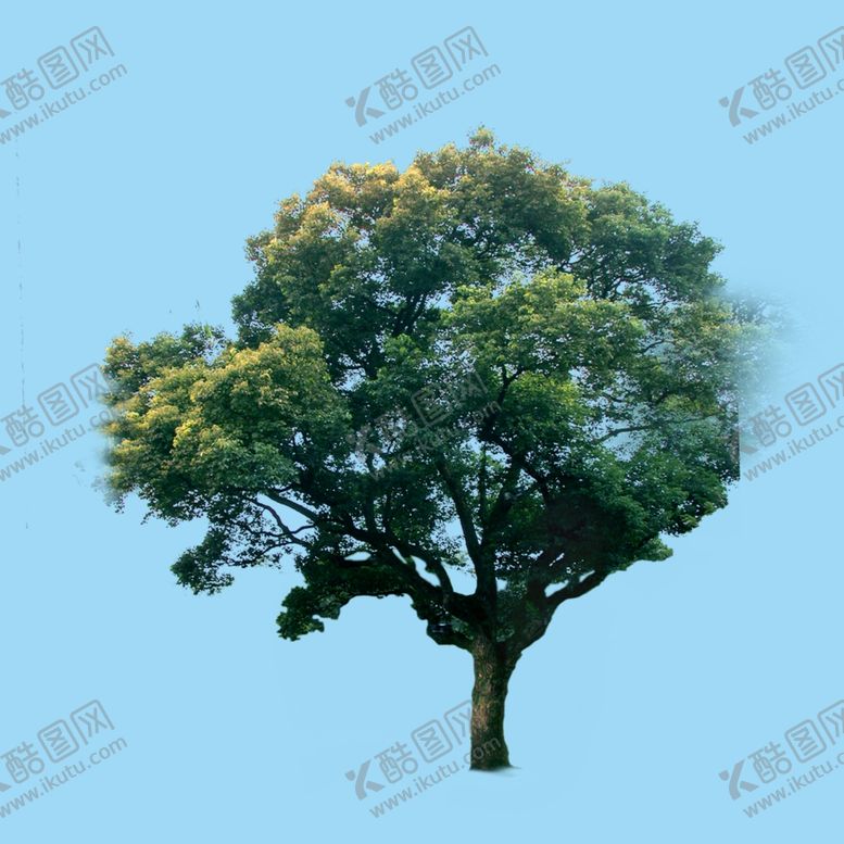 编号：52380110070308271264【酷图网】源文件下载-园林景观树木花草植物