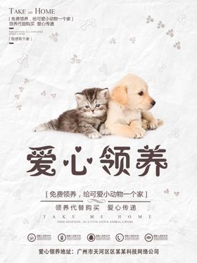 爱心领养