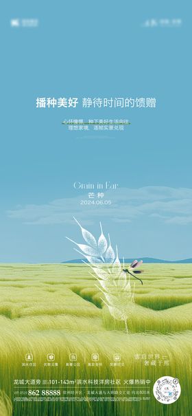 地产芒种节气刷屏海报