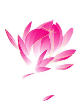 粉色水彩荷花
