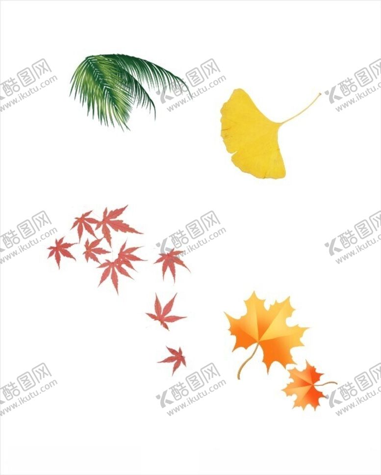 编号：41409002062044448773【酷图网】源文件下载-叶子素材