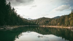 群山河水森林树木风景