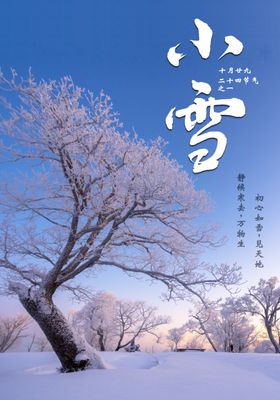 小雪二十四节气海报