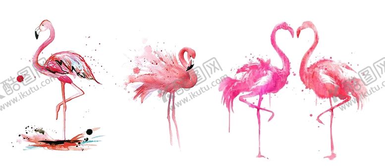编号：97614910290749164713【酷图网】源文件下载-火烈鸟