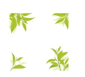 花边素材