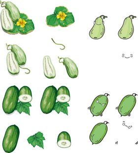 编号：20968309241010003168【酷图网】源文件下载-黄瓜图案