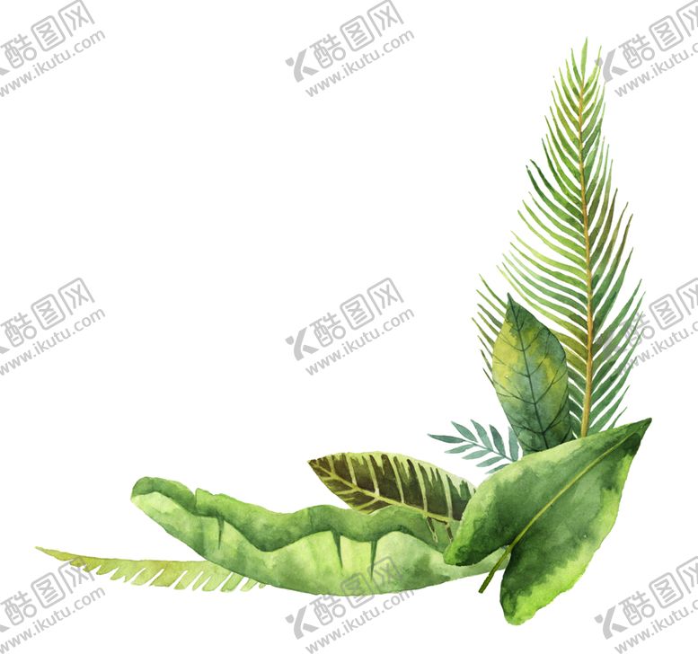 编号：41747306301955466477【酷图网】源文件下载-绿色植物