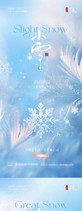 地产小雪大雪简约质感海报