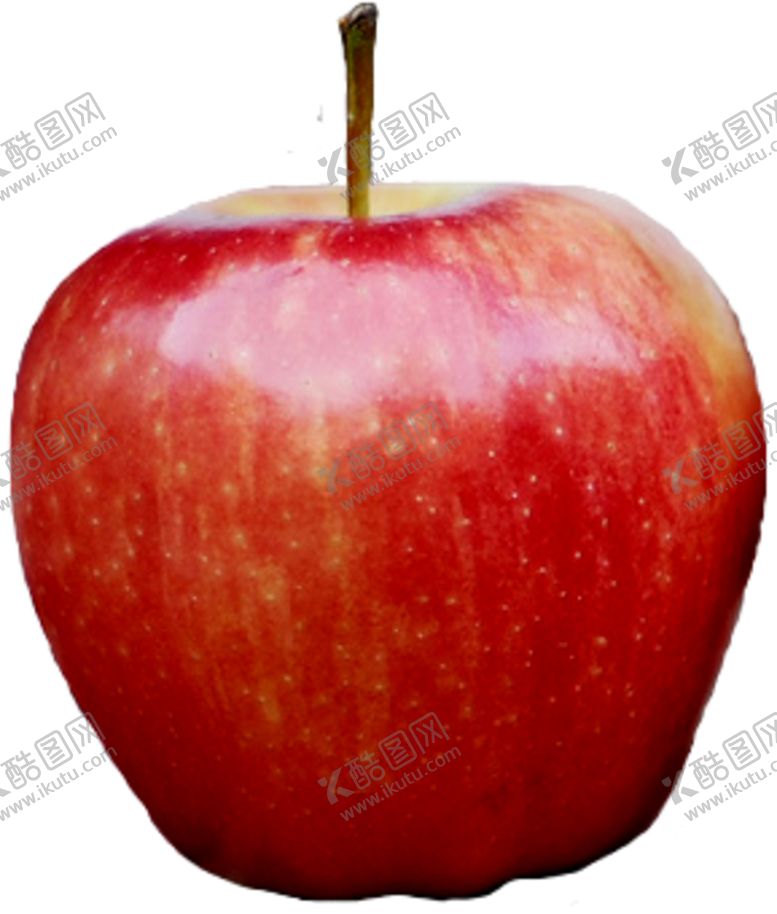 编号：17321110260546251427【酷图网】源文件下载-苹果图片