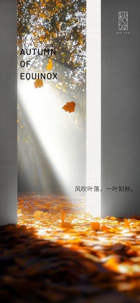 秋分节气海报落叶季二十四温暖