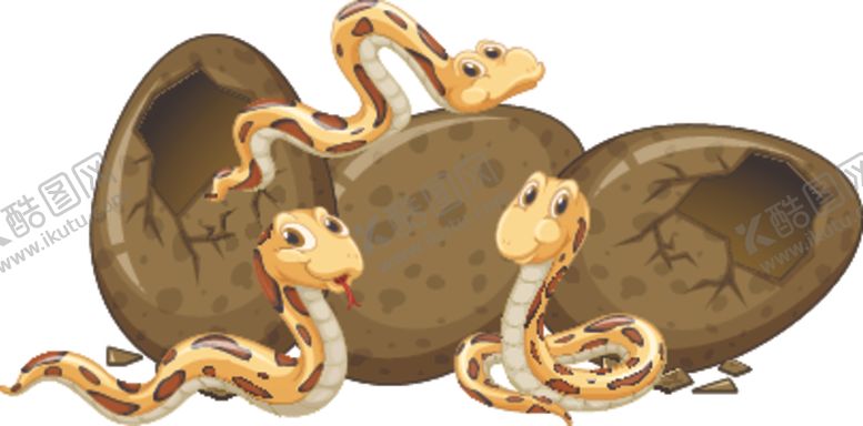 编号：47825610012324562691【酷图网】源文件下载-卡通蛇