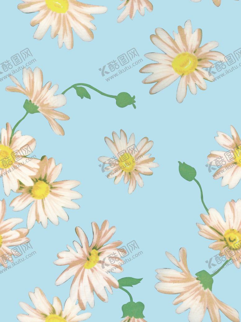 编号：39037306250736364284【酷图网】源文件下载-菊花
