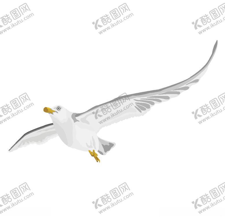 编号：69779910031856569417【酷图网】源文件下载-飞翔的鸟