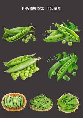 豌豆