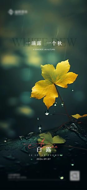 白露海报二十四节气珠雨天