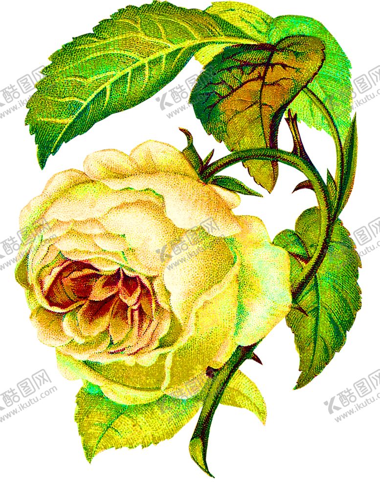 编号：79919309220135285632【酷图网】源文件下载-浪漫素材