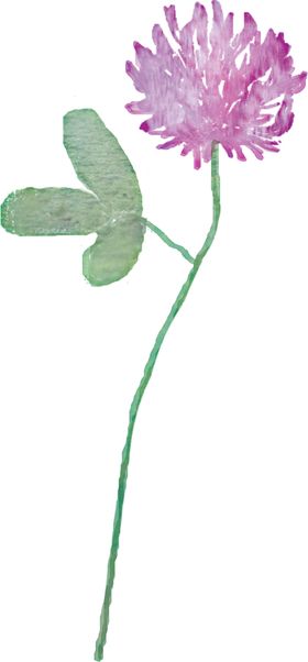 水彩花