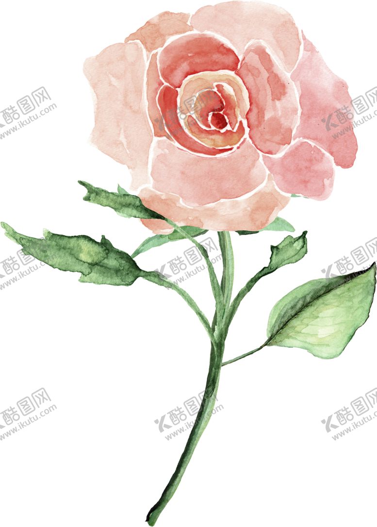 编号：94568906271734239550【酷图网】源文件下载-欧式彩绘植物