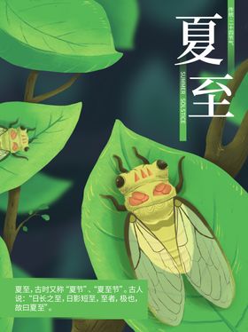 简约夏至海报