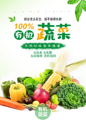 有机蔬菜海报